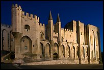 Gothic facade of Papal Palace at night. Avignon, Provence, France