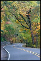 Rood curve, fall colors, West Mountain. Hot Springs National Park ( color)
