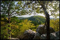 Sugarloaf Mountain in the spring. Hot Springs National Park ( color)