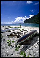 Traditional polynesian canoes near the Asaga Strait, Ofu Island. American Samoa ( color)