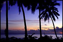 Palm trees at sunset, Leone Bay. Tutuila, American Samoa ( color)