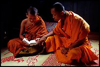 Buddhist novice monks reading. Luang Prabang, Laos ( color)