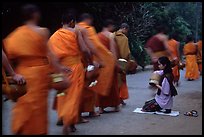 Buddhist monks walking past alm-giving woman. Luang Prabang, Laos ( color)