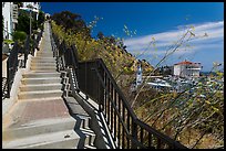 Stairs above harbor, Avalon Bay, Santa Catalina Island. California, USA ( color)