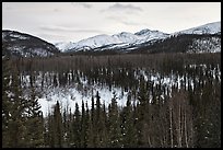 Riley Creek drainage and mountains in winter. Denali National Park ( color)