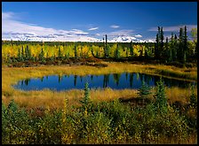 Pond and Wrangell range in the distance. Wrangell-St Elias National Park, Alaska, USA.