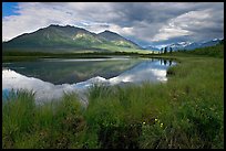 Grasses, lake, and mountains. Wrangell-St Elias National Park ( color)