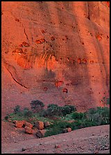 Rock wall, the Olgas. Australia ( color)