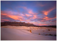 Guadalupe Mountains National Park, Texas.  ( )