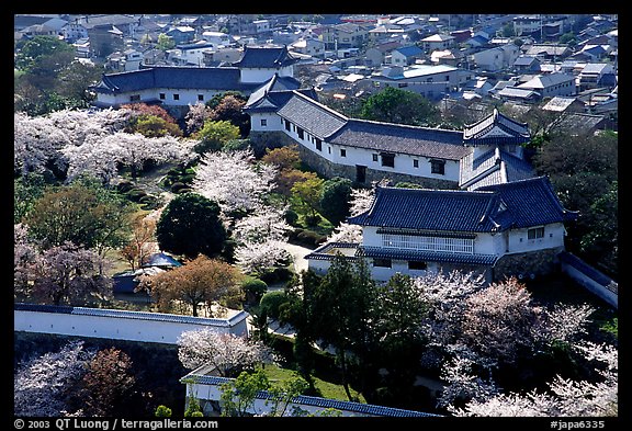 Castle grounds and walls with cherry trees in bloom. Himeji, Japan