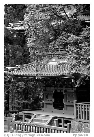 Base of a five story pagoda in Tosho-gu Shrine. Nikko, Japan (black and white)