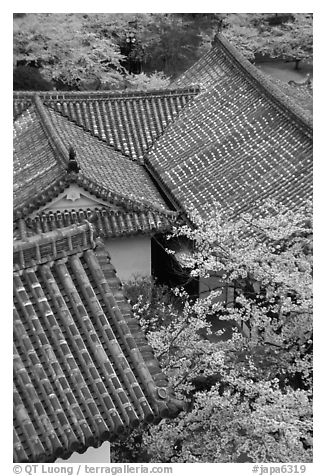 Roofs and cherry blossoms seen from the castle donjon. Himeji, Japan