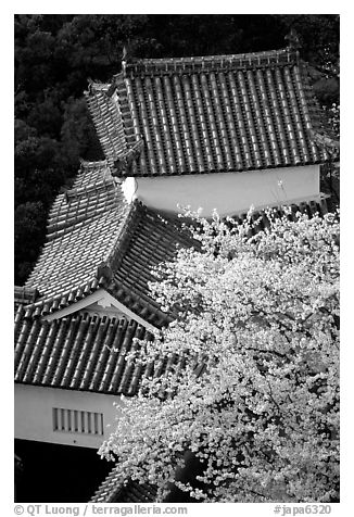 Rooftops and cherry trees seen from the castle donjon. Himeji, Japan (black and white)