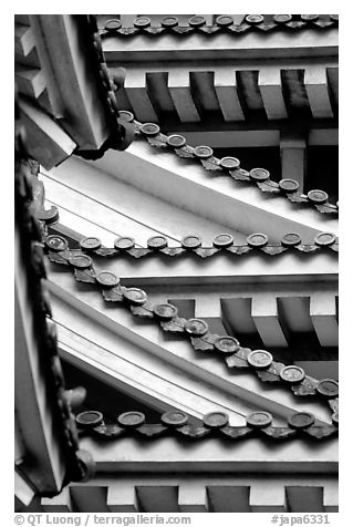 Architectural detail of the castle. Himeji, Japan (black and white)