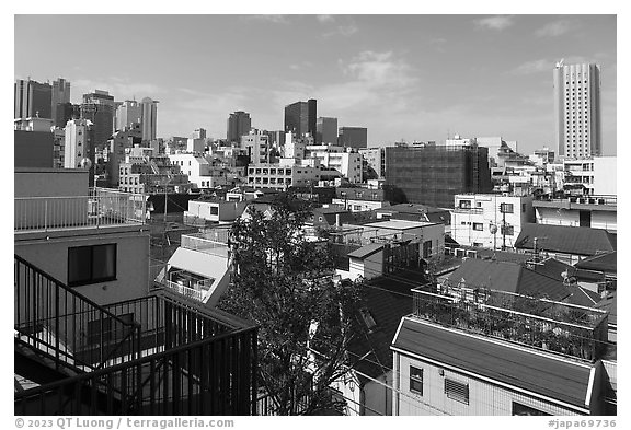 Rooftops, Shinjuku. Tokyo, Japan (black and white)