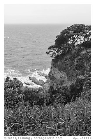 Lush cliffs. Enoshima Island, Japan (black and white)