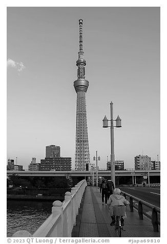 Sky Tree from the Kototoi Bridge. Tokyo, Japan (black and white)