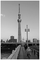 Sky Tree from the Kototoi Bridge. Tokyo, Japan ( black and white)