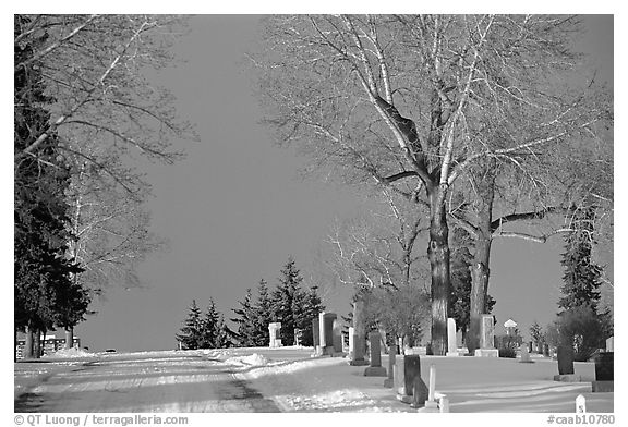 Cemetery in winter. Calgary, Alberta, Canada