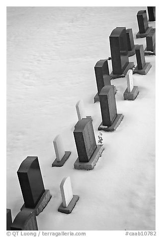 Tombstones in snow. Calgary, Alberta, Canada