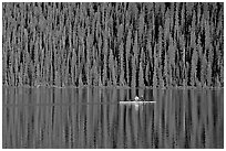 Rower on Lake Louise with forest reflection, early morning. Banff National Park, Canadian Rockies, Alberta, Canada ( black and white)