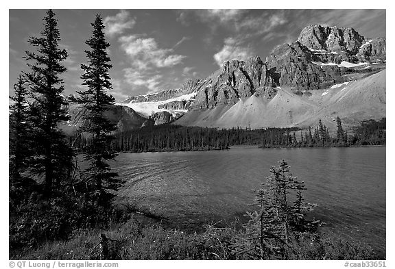 Bow Lake shoreline,  Crowfoot Mountain and Crowfoot Glacier. Banff National Park, Canadian Rockies, Alberta, Canada