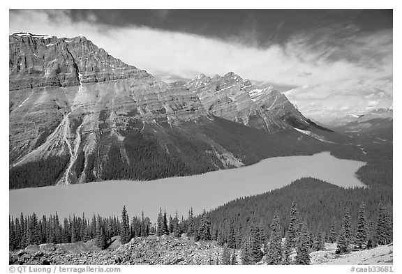 Peyto Lake and Cauldron Peak, mid-day. Banff National Park, Canadian Rockies, Alberta, Canada (black and white)