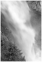 Water and trees, Panther Falls. Banff National Park, Canadian Rockies, Alberta, Canada ( black and white)