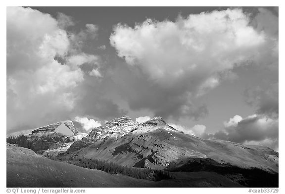 Peak and cloud near the Columbia Icefield,  early morning. Jasper National Park, Canadian Rockies, Alberta, Canada (black and white)