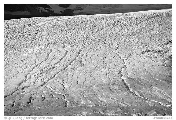 Crevasse patters on Athabasca Glacier. Jasper National Park, Canadian Rockies, Alberta, Canada (black and white)