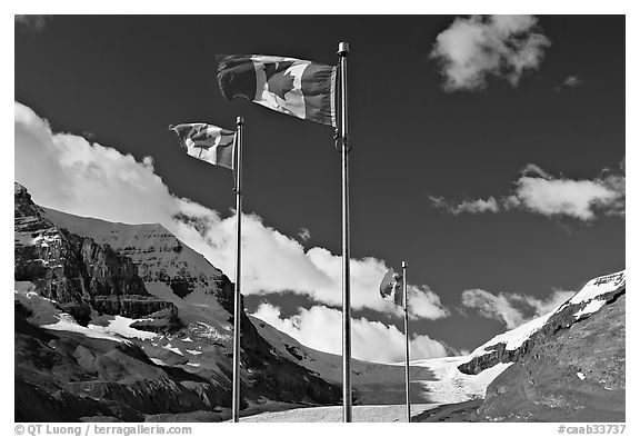 Canadian flags at the Icefieds Center. Jasper National Park, Canadian Rockies, Alberta, Canada (black and white)