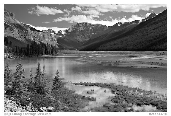 Refecting pool near Beauty Creek, afternoon. Jasper National Park, Canadian Rockies, Alberta, Canada (black and white)