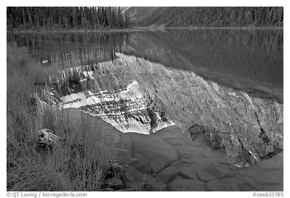 Reflections in Cavell Lake, early morning. Jasper National Park, Canadian Rockies, Alberta, Canada (black and white)