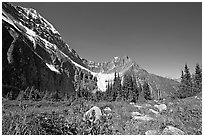 Alpine meadow at the base of Mt Edith Cavell. Jasper National Park, Canadian Rockies, Alberta, Canada ( black and white)