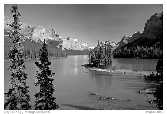 Tiny island with evergreens on  Maligne Lake, afternoon. Jasper National Park, Canadian Rockies, Alberta, Canada (black and white)