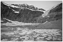 Cavell Pond at the base of Mt Edith Cavell, sunrise. Jasper National Park, Canadian Rockies, Alberta, Canada ( black and white)
