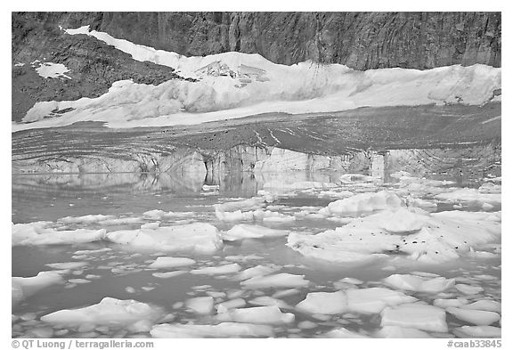 Icebergs in glacial lake and Cavell Glacier. Jasper National Park, Canadian Rockies, Alberta, Canada (black and white)
