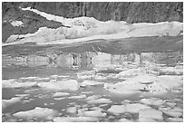 Icebergs in glacial lake and Cavell Glacier. Jasper National Park, Canadian Rockies, Alberta, Canada (black and white)