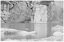 Wall of ice and Cavell Pond,. Jasper National Park, Canadian Rockies, Alberta, Canada ( black and white)