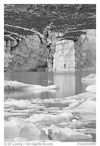 Cavell Glacier and icebergs detached from the glacier. Jasper National Park, Canadian Rockies, Alberta, Canada (black and white)