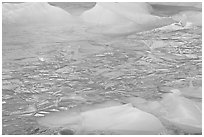 Ice patters and icebergs, Cavell Pond. Jasper National Park, Canadian Rockies, Alberta, Canada ( black and white)
