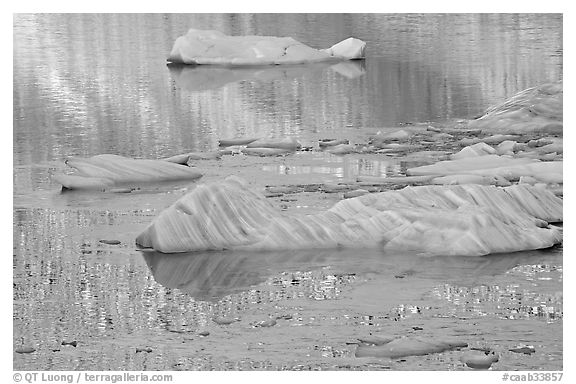 Icebergs and gold reflections, Cavel Pond. Jasper National Park, Canadian Rockies, Alberta, Canada (black and white)