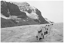People amongst glacier and peaks, Columbia Icefield. Jasper National Park, Canadian Rockies, Alberta, Canada ( black and white)