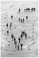 People in delimited area, Athabasca Glacier. Jasper National Park, Canadian Rockies, Alberta, Canada (black and white)