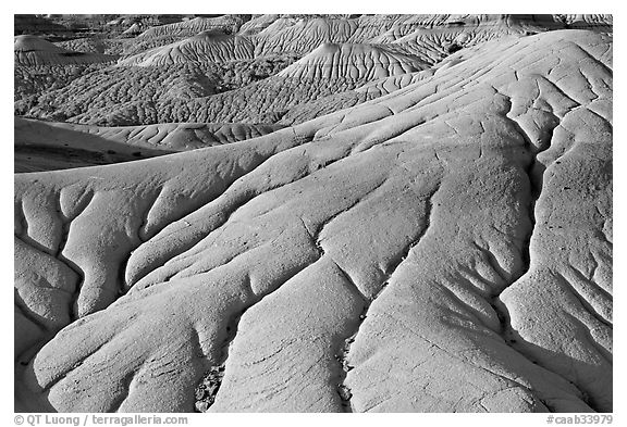 Erosion patters in mud, Dinosaur Provincial Park. Alberta, Canada (black and white)