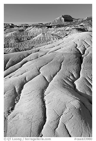 Coulee badlands with clay erosion patters, Dinosaur Provincial Park. Alberta, Canada (black and white)
