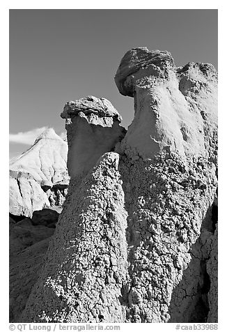 Capstone chimneys and popcorn mudstone, Dinosaur Provincial Park. Alberta, Canada (black and white)