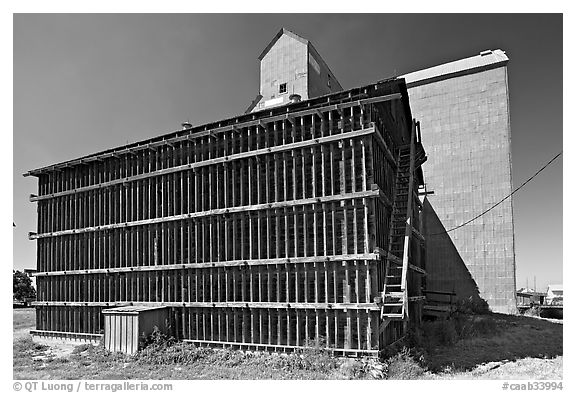 Grain elevator building. Alberta, Canada (black and white)