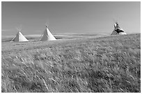Teepees and tall grass prairie, Head-Smashed-In Buffalo Jump. Alberta, Canada ( black and white)