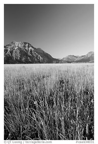 Grass prairie and front range Rocky Mountain peaks. Waterton Lakes National Park, Alberta, Canada (black and white)
